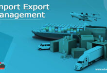 What Are the Startup Costs for Import and Export?