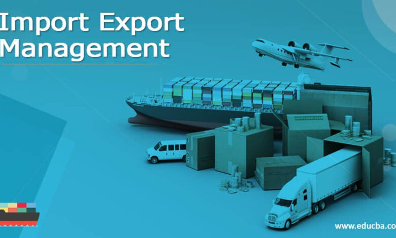 What Are the Startup Costs for Import and Export?