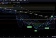 REEF Finance Price Predictions