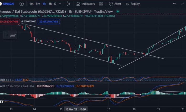 OHM Olympus price prediction