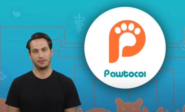 UPI Pawtocol price predictions by year